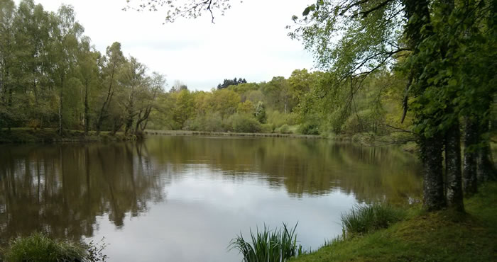 Lake Calver